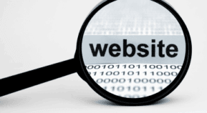 חברת פיתוח פורטלים