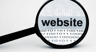 חברת פיתוח פורטלים