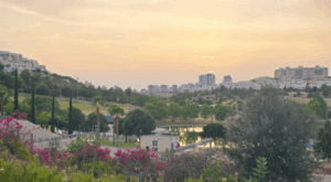 פרסום ויח״צ במודיעין